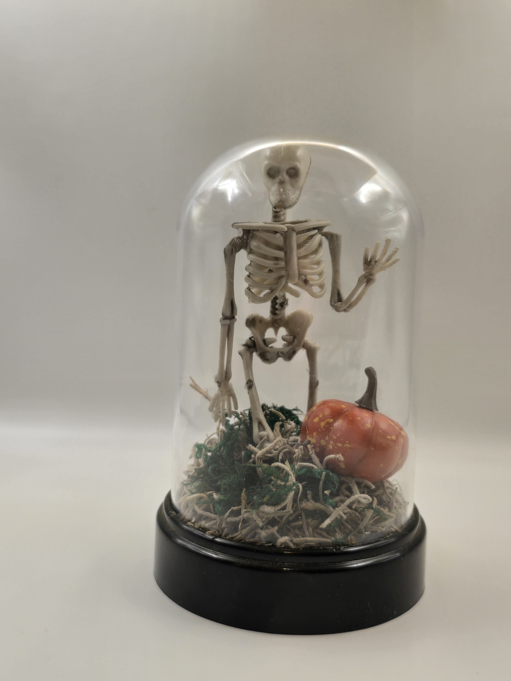 Skeleton Cloche with Orange Pumpkin Home Art Décor